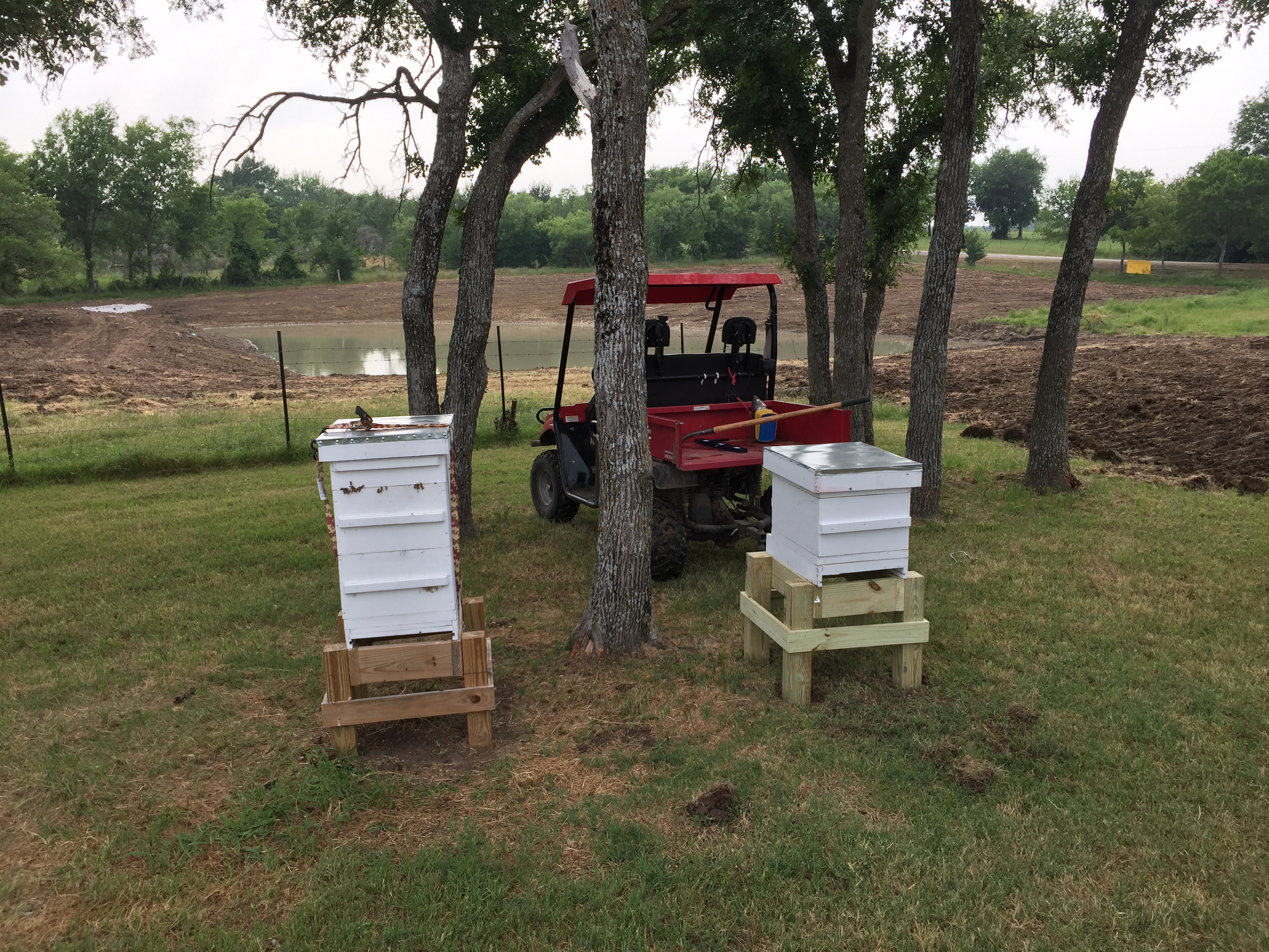 Beehives Out